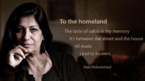 hala